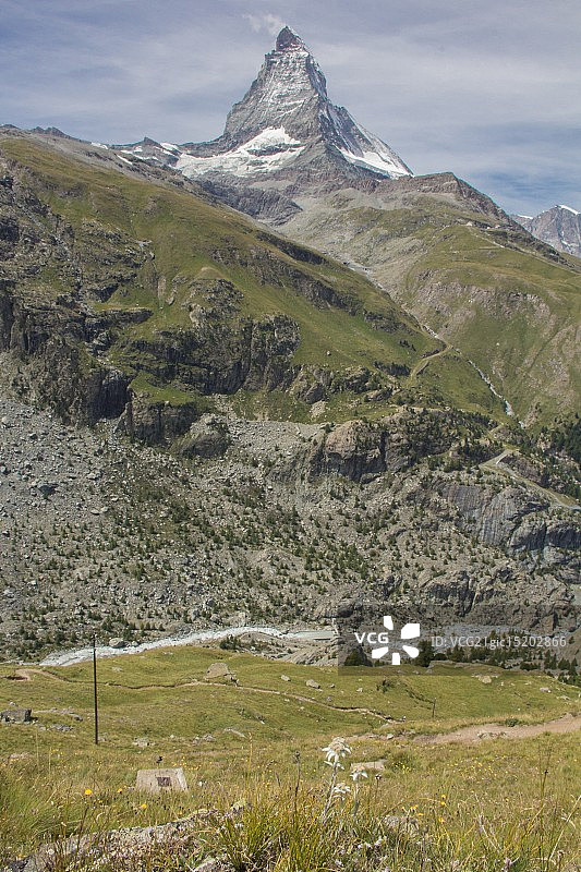 马特宏峰与雪绒花图片素材