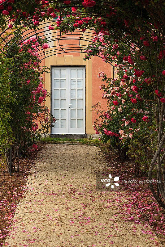 玫瑰花园图片素材