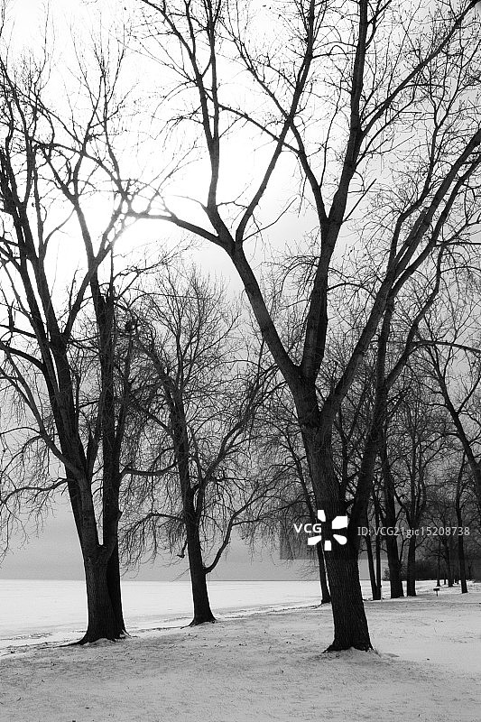 伊利湖的冬季图片素材