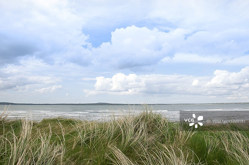 香农河的沙丘景观图片素材
