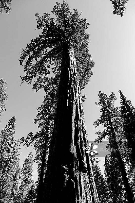 《卫报》图片素材