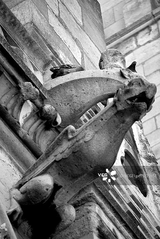 巴黎圣母院滴水兽图片素材