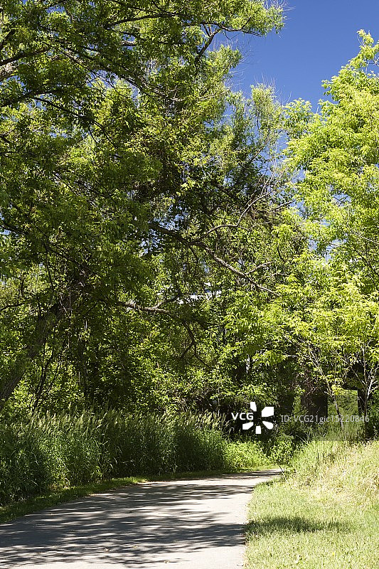 林中空地图片素材