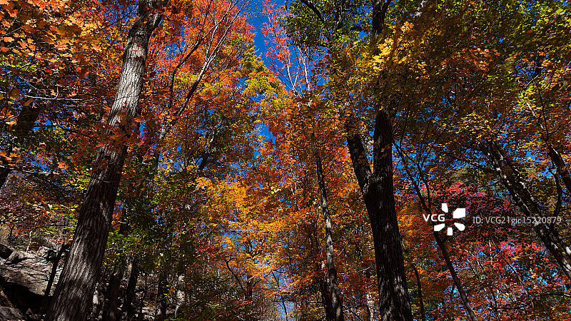 熊山秋色图片素材