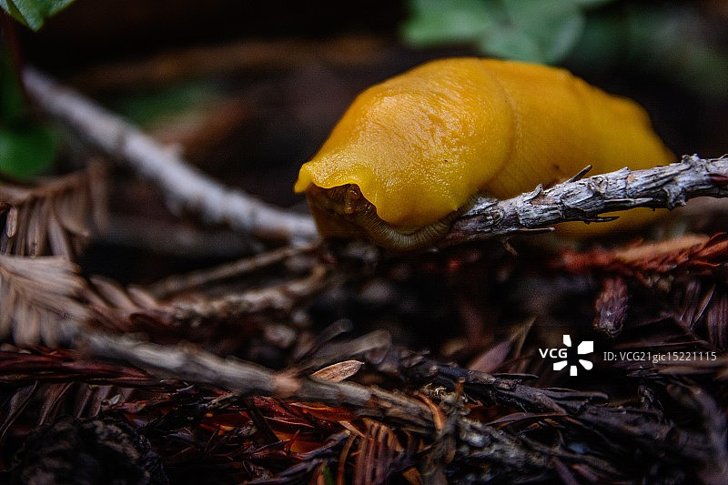 我看到你了……图片素材