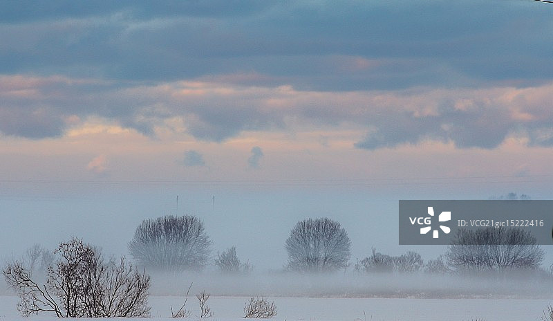 雾中的十二月图片素材