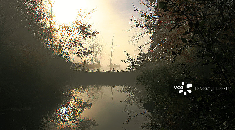 海狸水坝图片素材