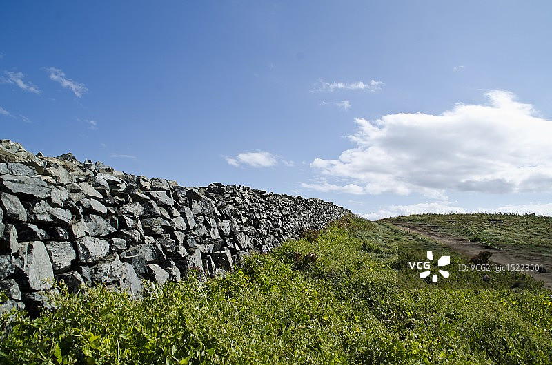 蜥蜴角图片素材