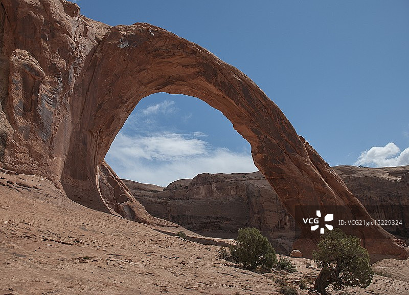 科罗娜拱门图片素材