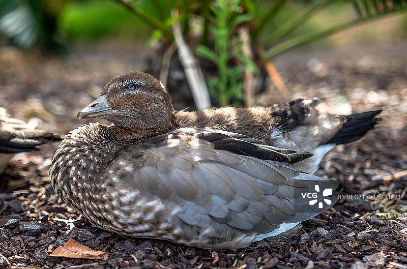 我很时尚图片素材
