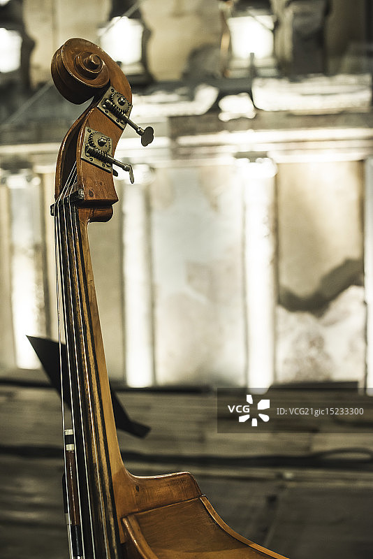 古典音乐会上的低音提琴图片素材