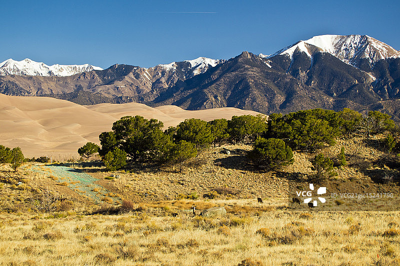 沙漠，你说什么？图片素材