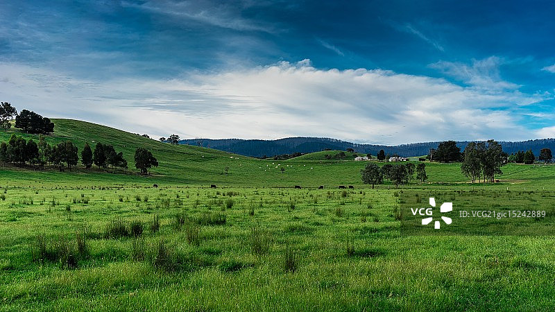 绿色牧场和蓝色天空图片素材