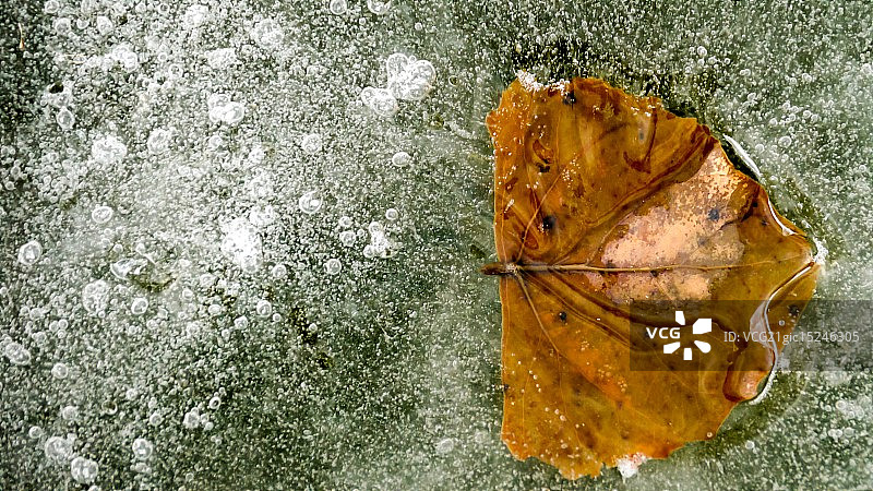 困在冰中图片素材