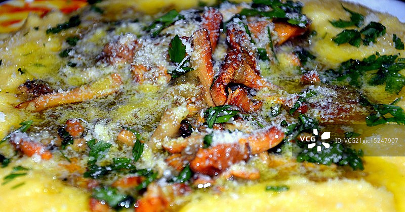 鸡油菌图片素材