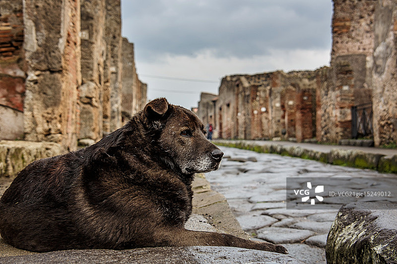 罗马-庞贝图片素材
