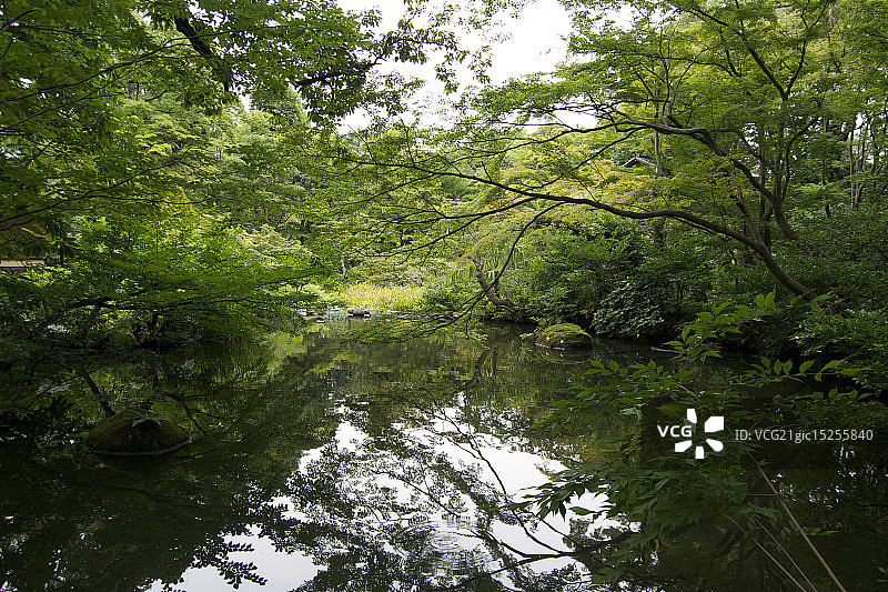 东京日式庭院图片素材
