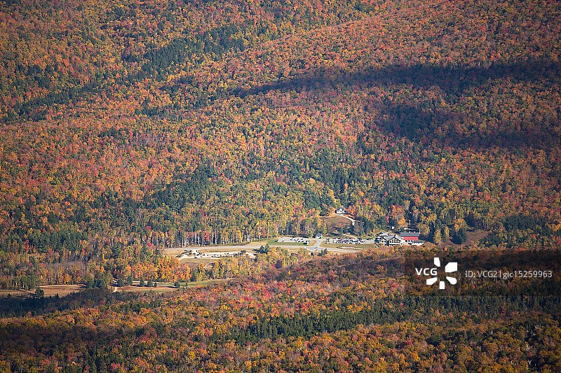 新罕布什尔华盛顿山的枝叶图片素材