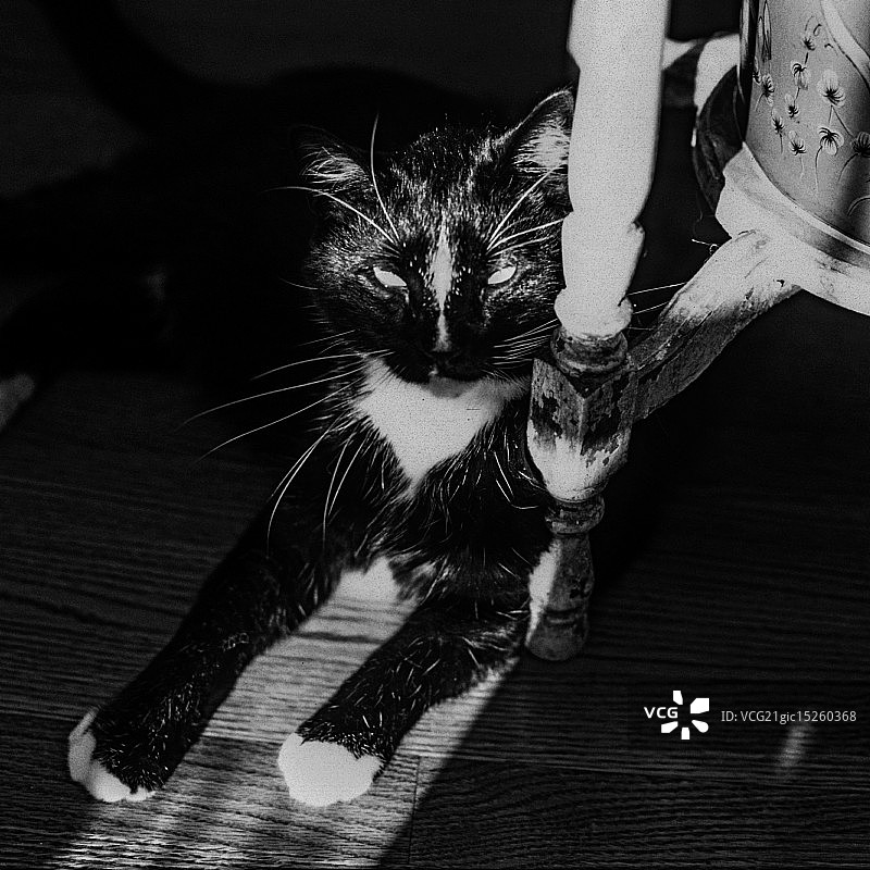 看着我的眼睛图片素材