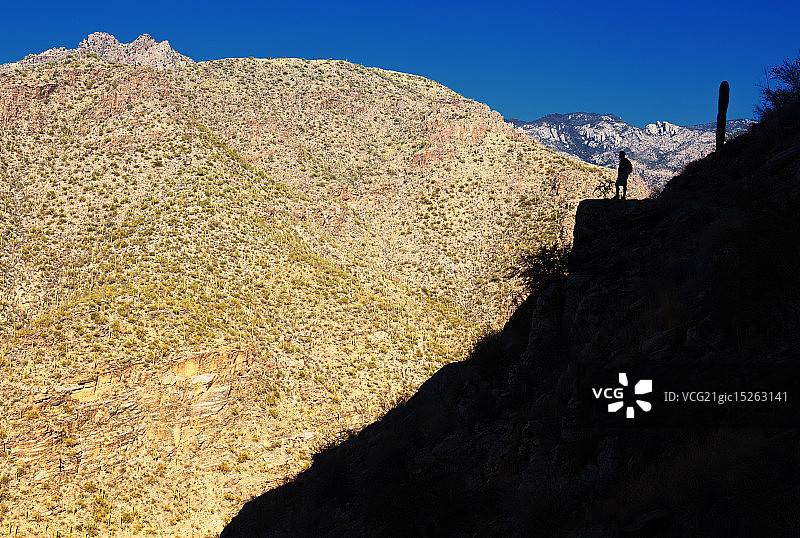 萨比诺图片素材