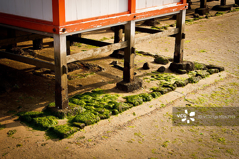 海中圣殿——严岛神社图片素材