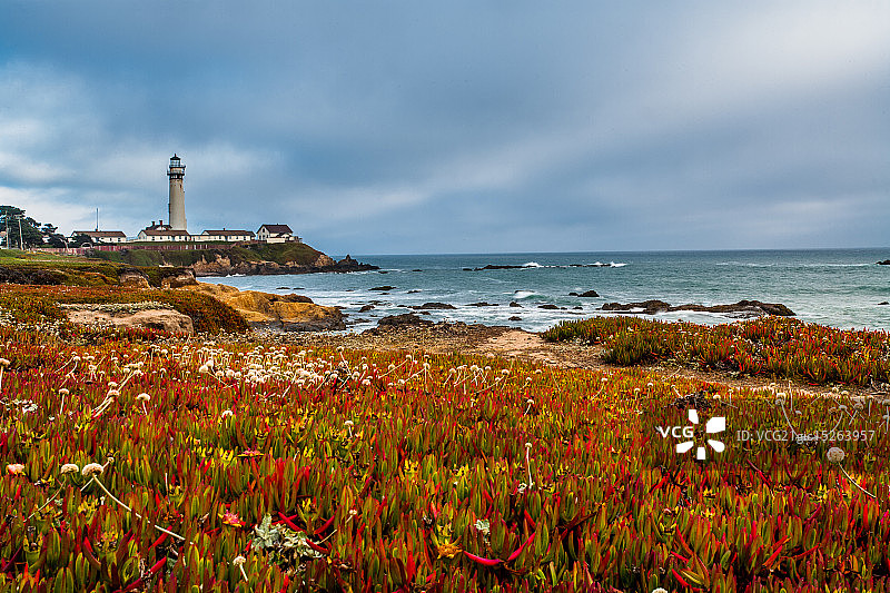 鸽子点灯塔图片素材