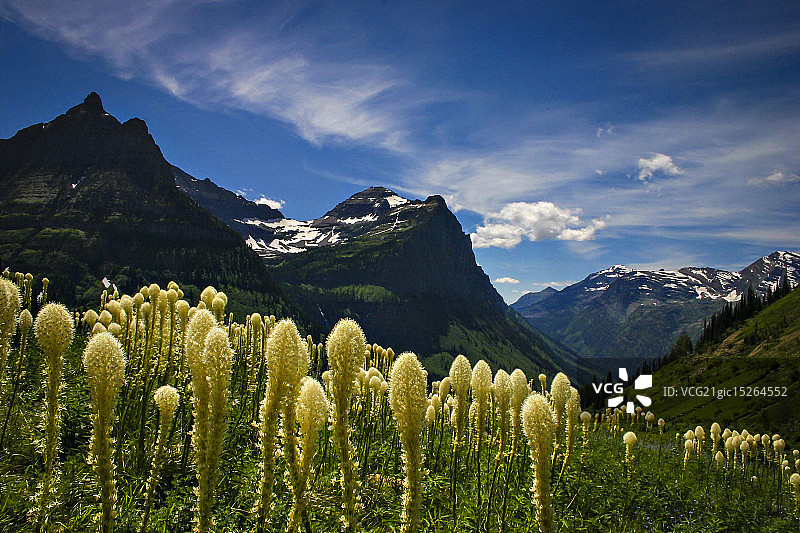 美国哥伦比亚瀑布图片素材