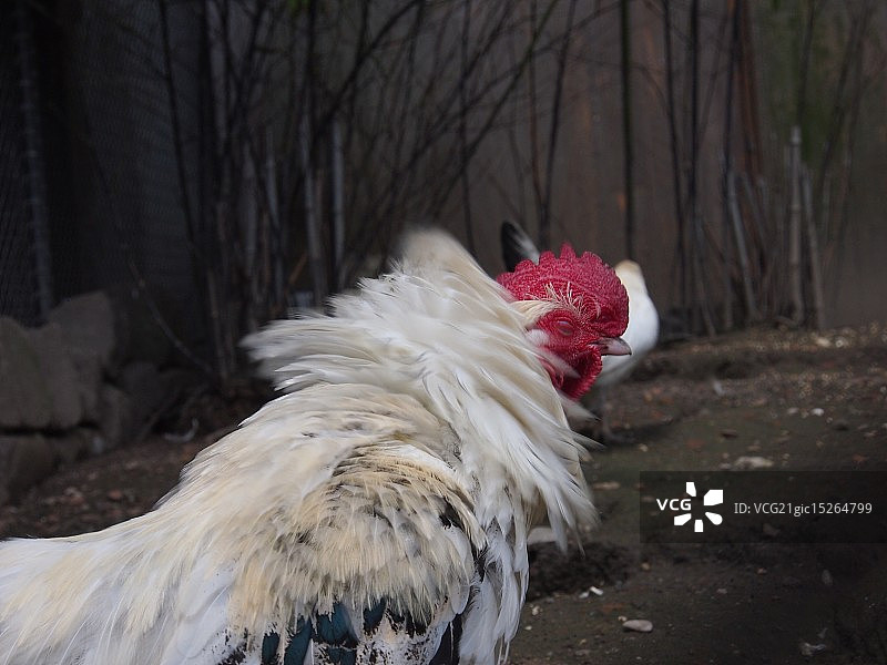 熄灭灯光！！（原始拍摄）图片素材