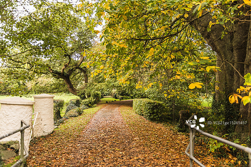 邓多克，爱尔兰图片素材