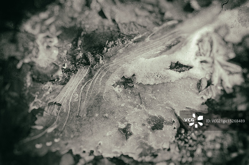 自然科学实验图片素材