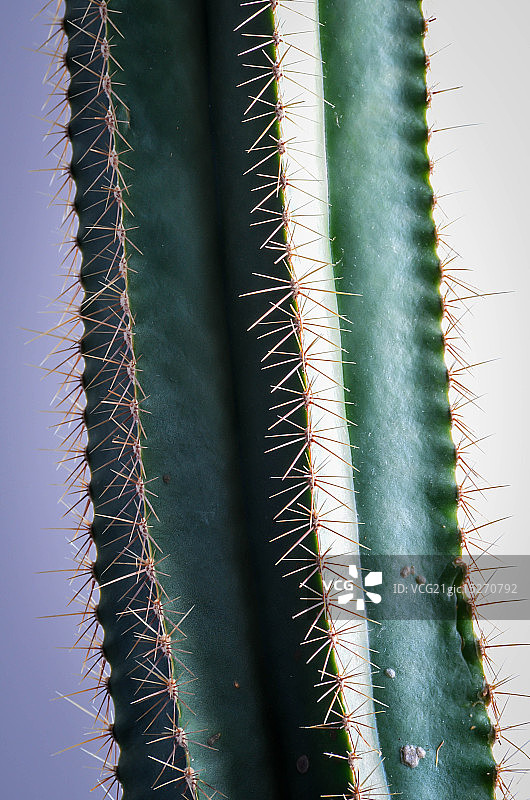 针石堆图片素材