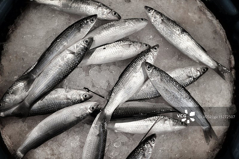 冰面上图片素材