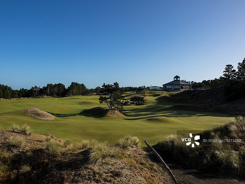 太平洋沙丘的潘趣酒碗图片素材