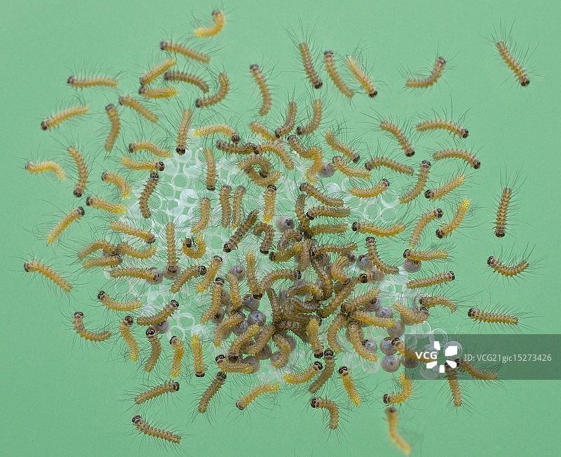 靠近家图片素材