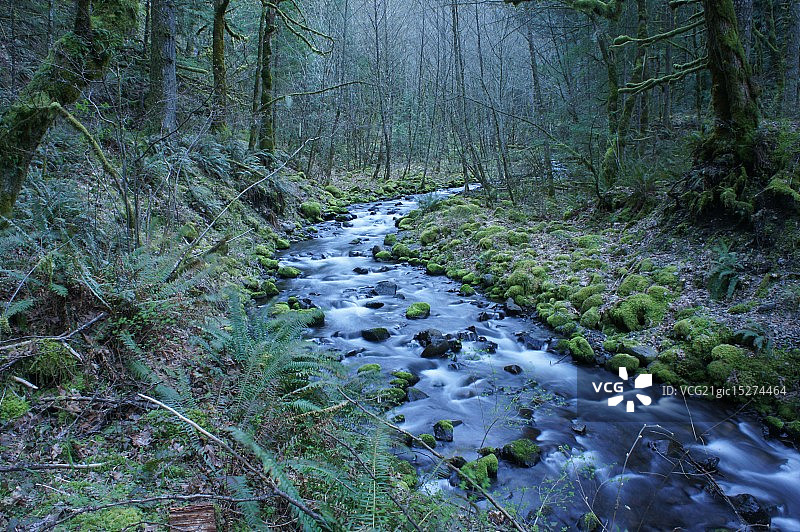 俄勒冈州哥伦比亚河峡谷图片素材