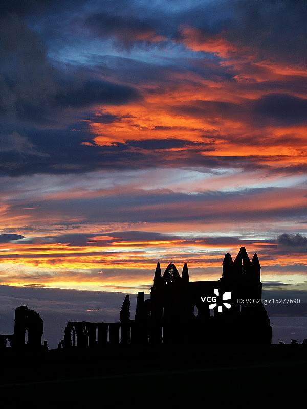 惠特比艾比图片素材