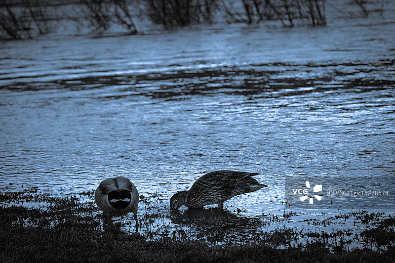 河中生活图片素材