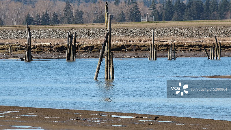 退潮的时候图片素材