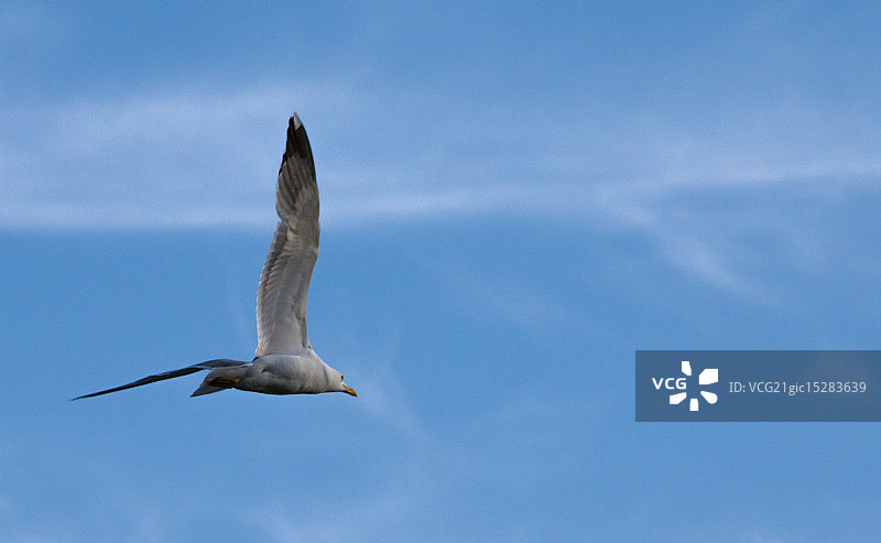 天空之美图片素材