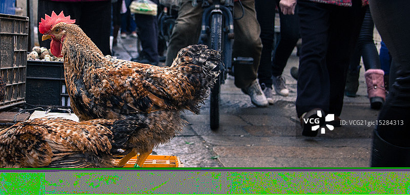 在市场上图片素材