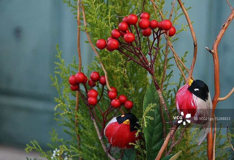 飞翔的红腹灰雀图片素材