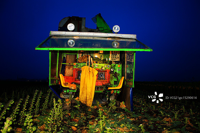 抱子甘蓝采摘机图片素材