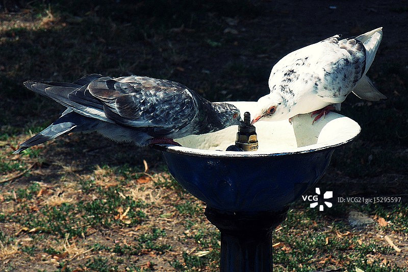 指向解渴图片素材
