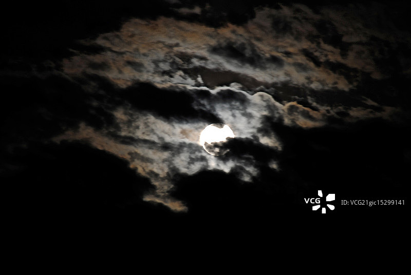 霸王龙图片素材