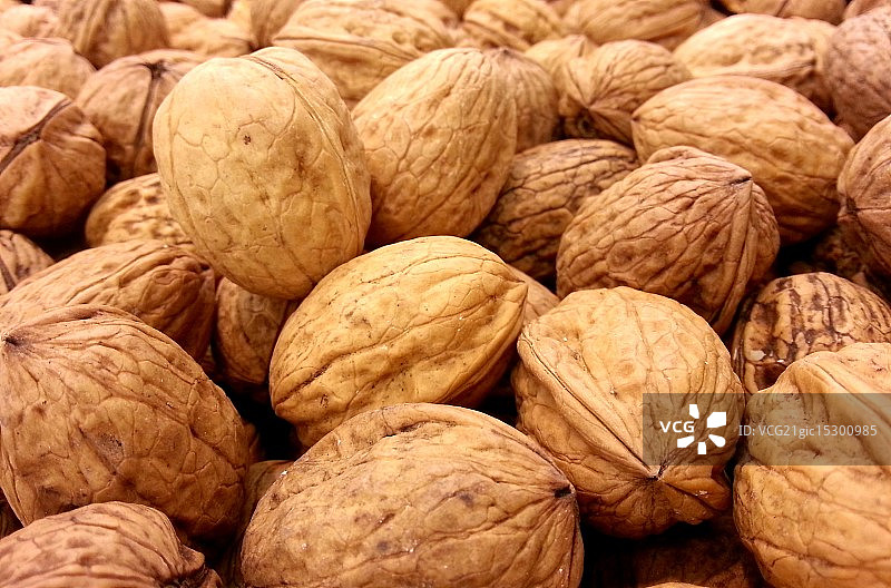 山核桃图片素材