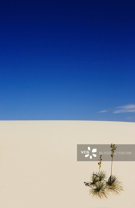 沙漠情侣图片素材