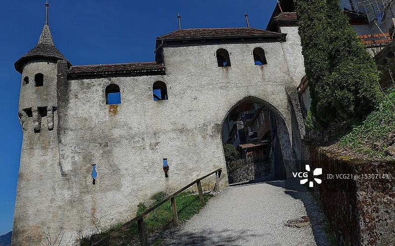格鲁耶尔奶酪图片素材