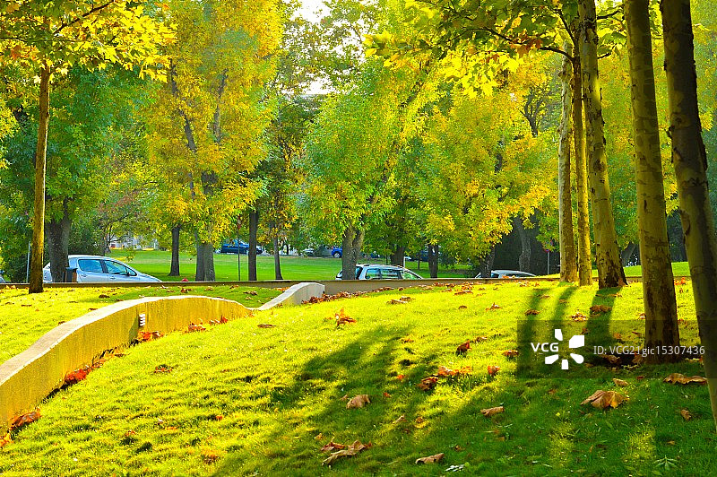 布加勒斯特的秋色图片素材