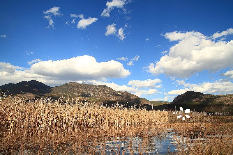 中国丽江拉市海图片素材