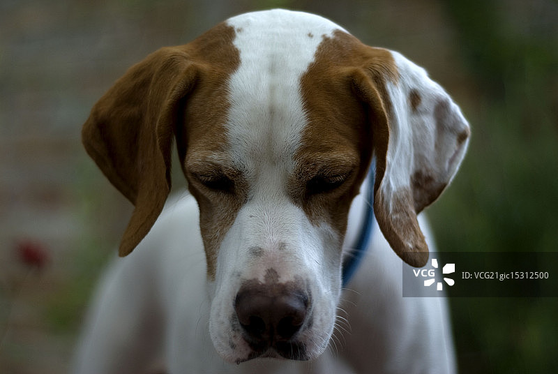 指示器图片素材